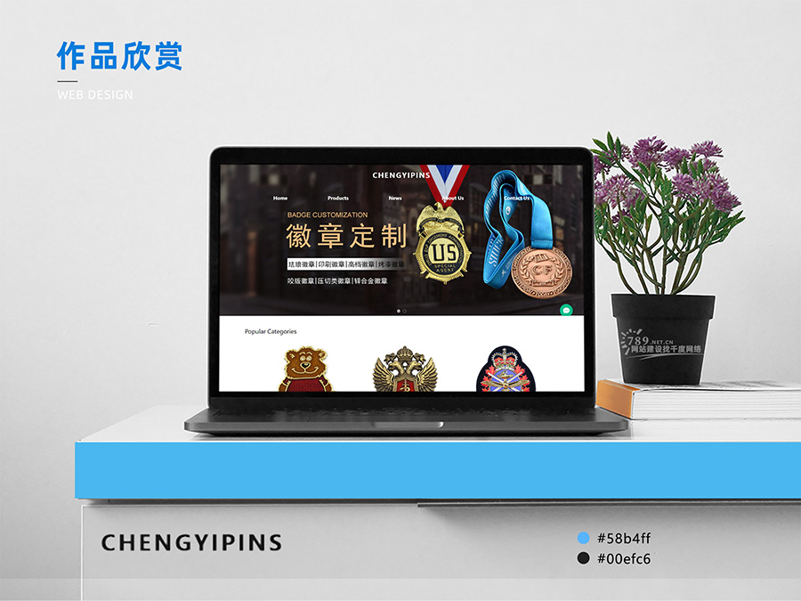 东莞网站建设案例